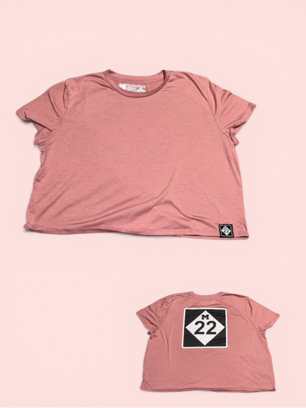 LAST CHANCE ITEM** Kids' Short Sleeve Tee in Dusty Rose with Back Graphic